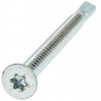 Autoperceuse TF Torx à Ailettes 5.5X50 Acier Zingué Blanc