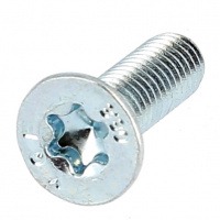 TF Torx M8X40 Acier 8.8 Zingué Blanc ISO 14581