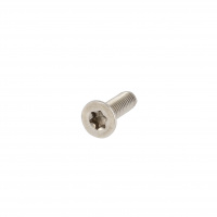 TF Torx M2.5X12 Inox A2