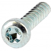 Linsenkopf mit Torx
