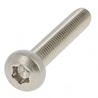 Linsenkopf mit Torx