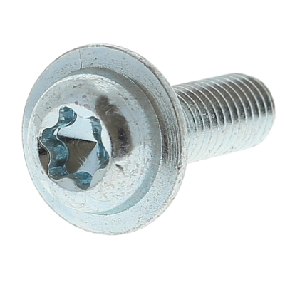 ECOFIX TCB TORX M5X6 Z.BLANC