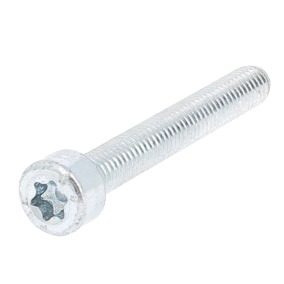 TC TORX M2X10 ACIER 8.8 Z.BLANC ISO 14579