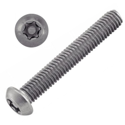 VIS INVIOLABLE TB TORX + TETON M5X50 INOX A2