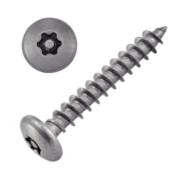 VIS TOLE INVIOLABLE TETE BOMBEE TORX + TETON 3.5X25 INOX