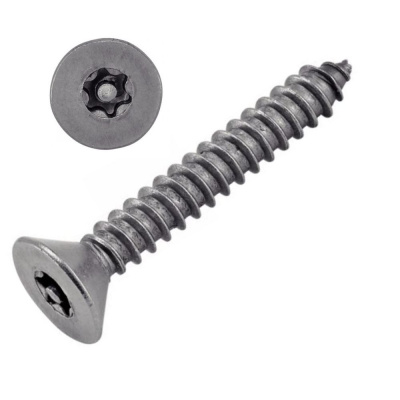 VIS INVIOLABLE TOLE TF TORX + TETON 4.8X38 INOX A2