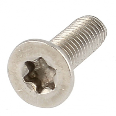 TF TORX M2.5X25 INOX A2 ISO 14581