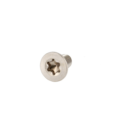 TF Torx M4X25 Inox A4 DIN 965