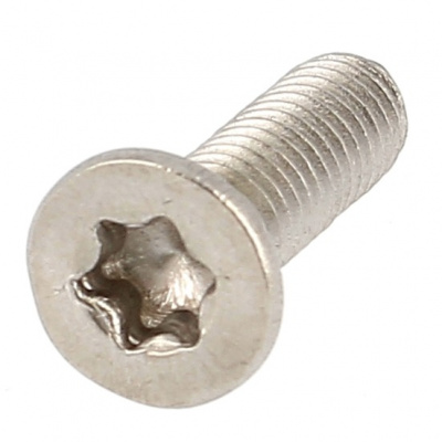 TF TORX M2.5X10 INOX A4 ISO 14581