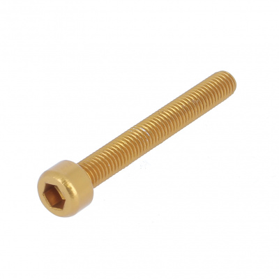 Blister mit 5 Zylinderschrauben Innensechskant Aluminium P60 Gold eloxiert