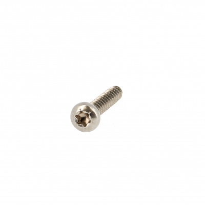 Blechschrauben mit Linsenkopf Breit und Torx Edelstahl A2 DIN 7981X